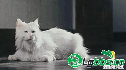 14954235195337.jpg