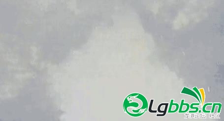 14954235443374.jpg