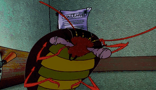 15724840423332.gif