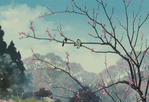20191118_142_1574043146903.gif