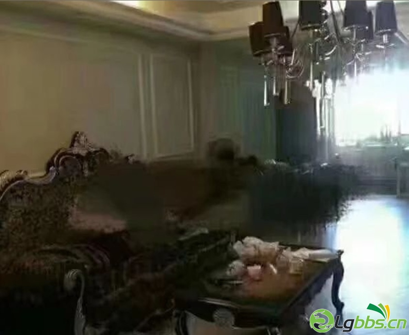 FiLmd1yGJkjVtpCbdGGnKEVIjW0b.jpg