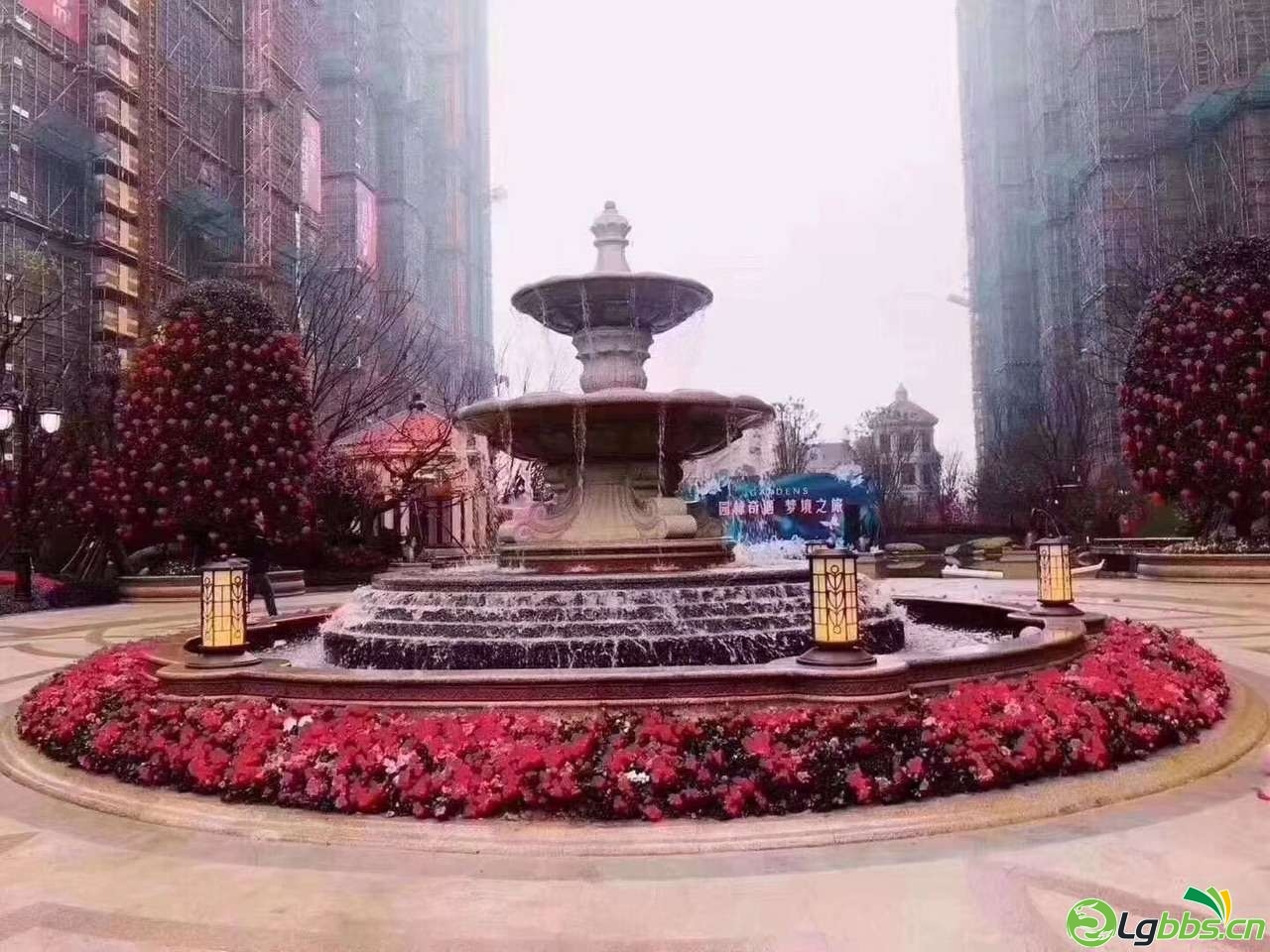 20200120_1407_1579475928253.jpg