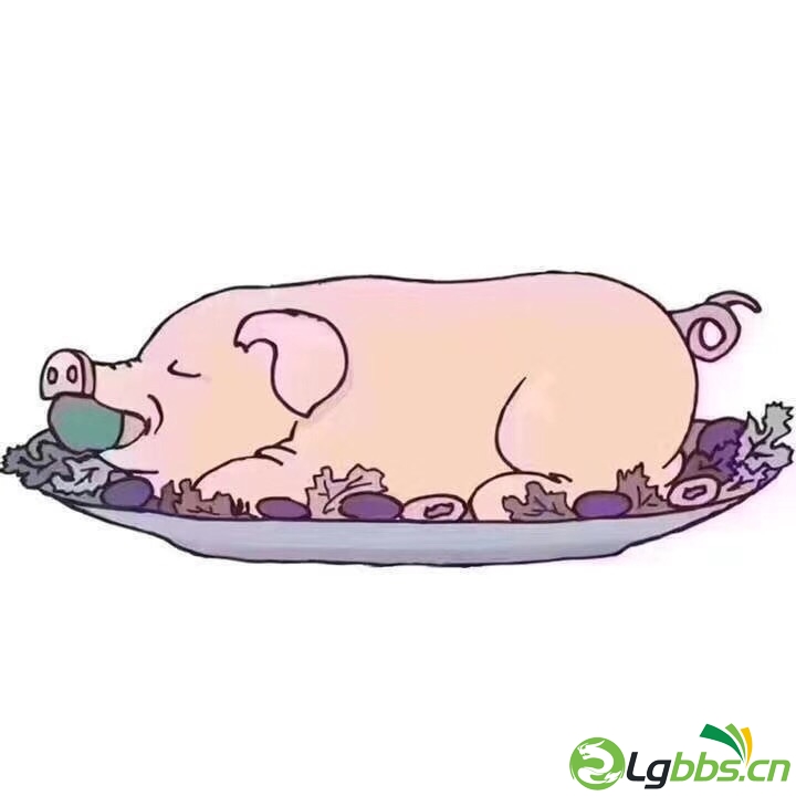 Fv9GvhATidTsn3XTDHKwrXQOWH9c.jpg