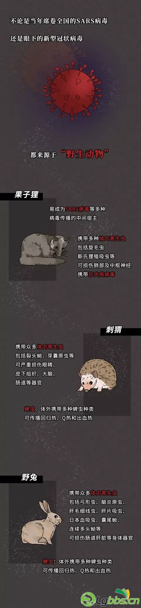 FvzoTTy81f9WbZ8k5bJgtQnlI3fr.jpg