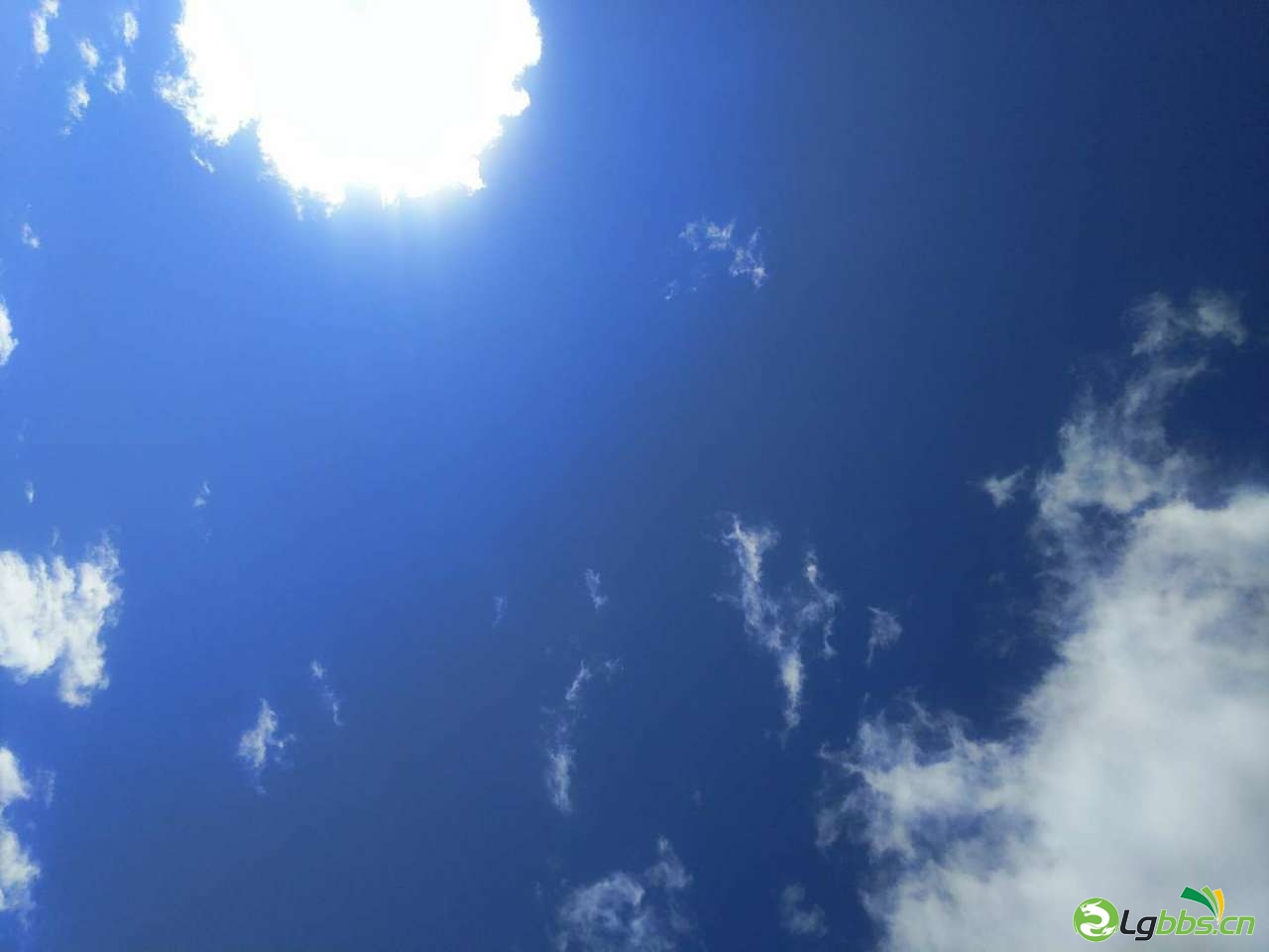 20200214_1871_1581649877606.jpg
