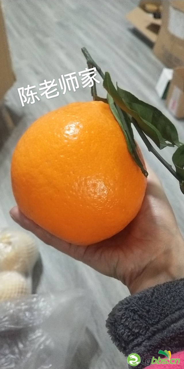 FuIPA_MPTyrcRqfdRxfGRhoq7wjJ.jpg
