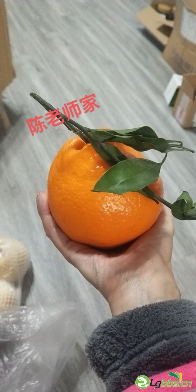 FhT5_GXyZZOZ8bzjLTYBpiXgaYd0.jpg