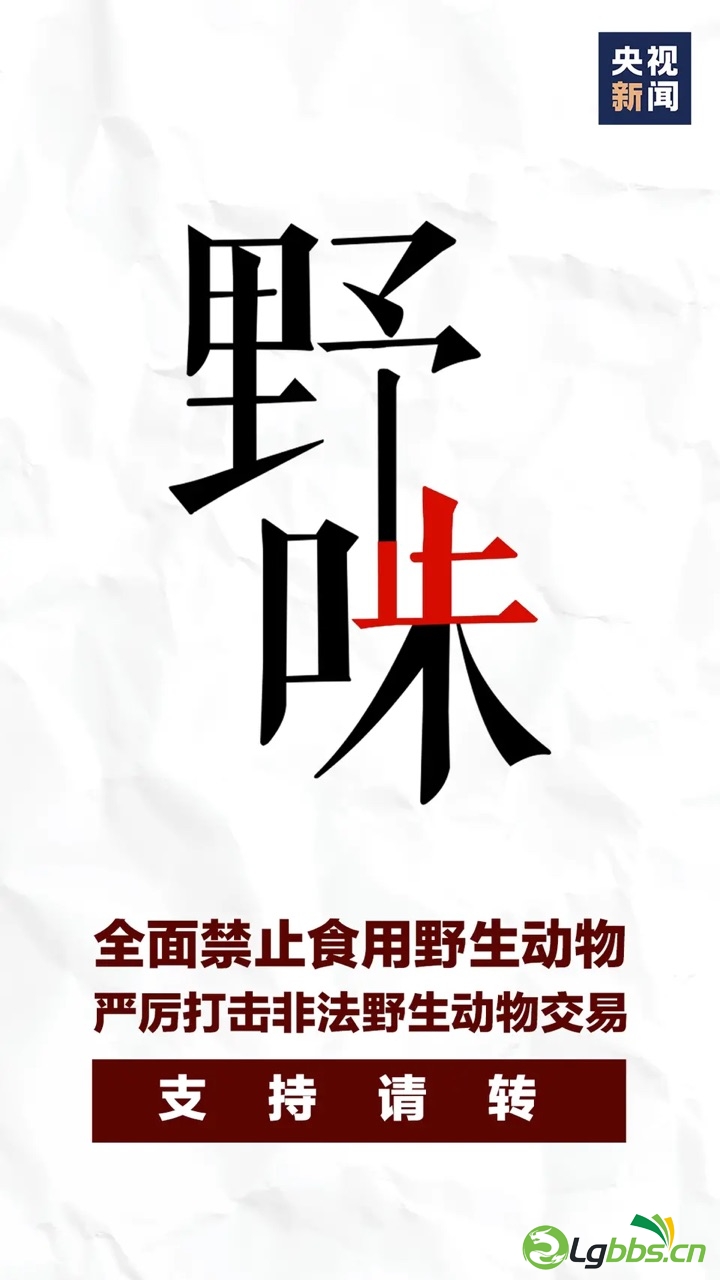 FtU446z-xiUHGf5_ygxbv1122TWV.jpg