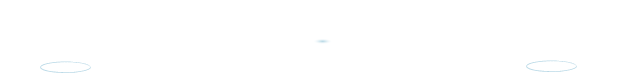 115611vzhnisnispbid0er.gif