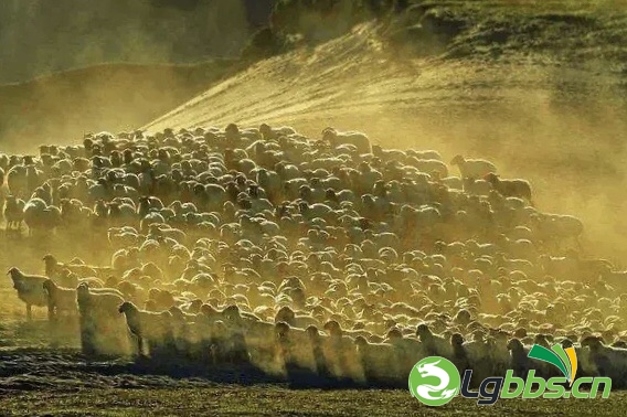 FhgEJ_8BaFmfnbyPPKNfdK1MsUei.jpg