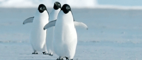 235517e5ycjos55c5jbcvb.gif