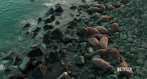 235518bffrbfdykcmrkfgc.gif