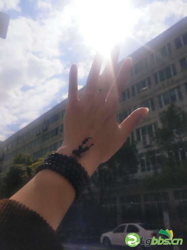 微信图片_20200310202826.jpg