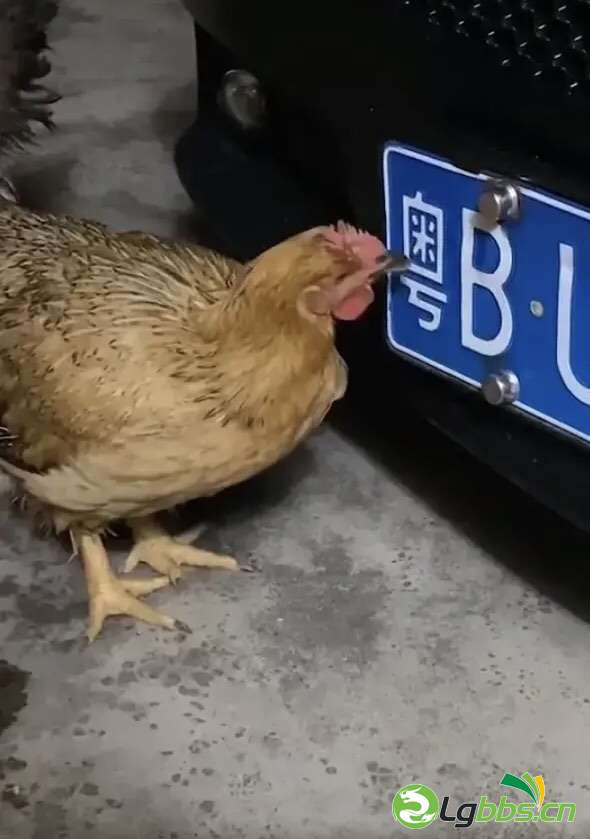 Fgp5dSBhOYBpNrx0GZsiwbBiFQID.jpg
