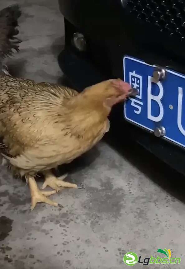 FuZQO1wG21Z_Oa8lU4QdrFHYG79O.jpg
