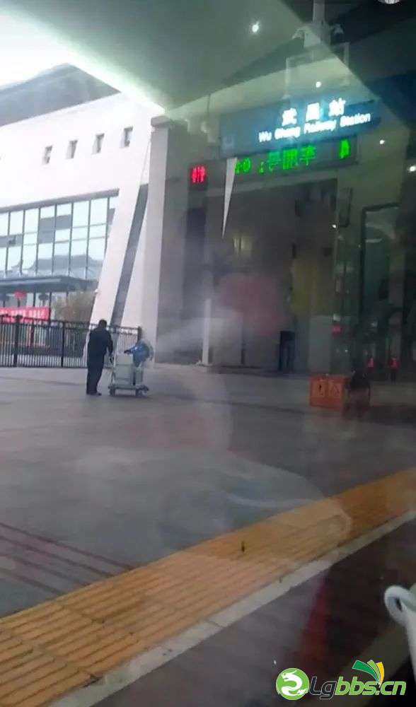 212355wrljtjerl0qeeel3.jpeg
