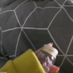 20200323_688_1584962867078.gif