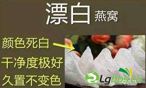 132729mrmejne87intjqiu.png
