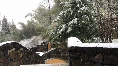 155034t77zg0gtgtdbdg1g.gif