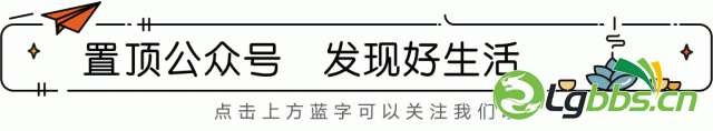 111407s36u56x6mnxzvnxx.gif