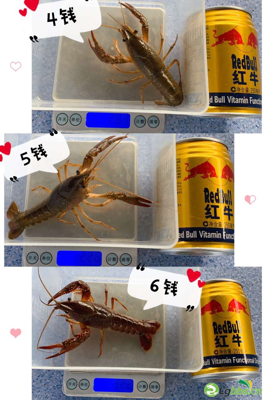 Fs46VqogqNbUGs8-QlpBA34vMNIT.jpg
