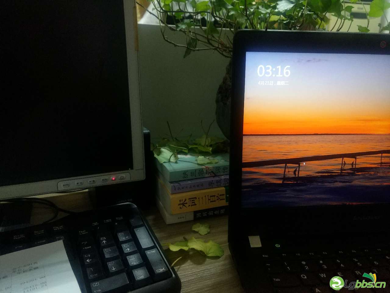 20200421_1947_1587436618498.jpg