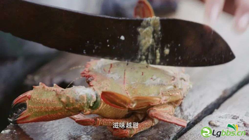 120720c5159m2hdx95255x.jpeg