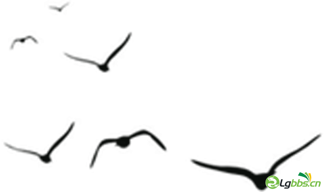 120720dl4imii9l4aigjjx.png