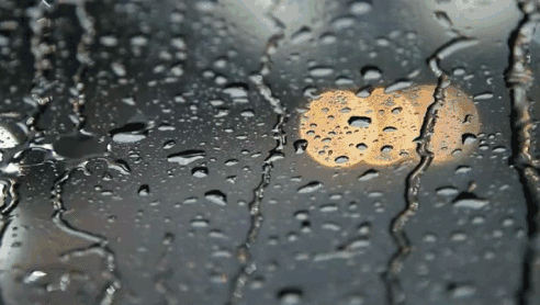 121806pilg4v34rgg28rto.gif