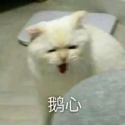 130727wgsgeep8xvheddhz.jpeg