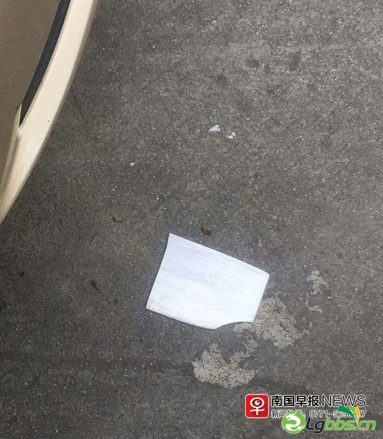 111200b7551r8srp1zr2vu.jpeg