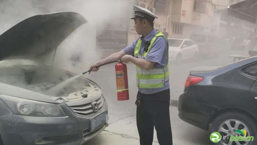 091217nep35vp7g939kmyv.jpeg