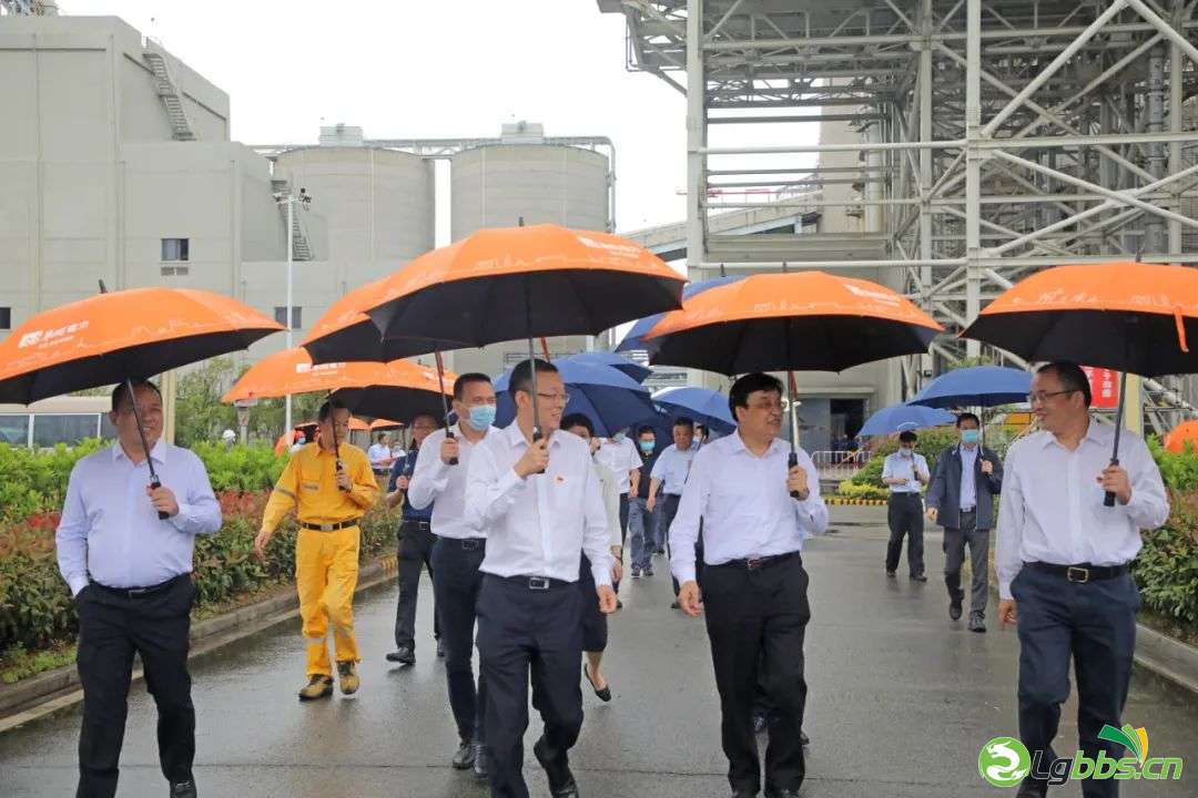 093351lnpbr6dr7diprlri.jpeg