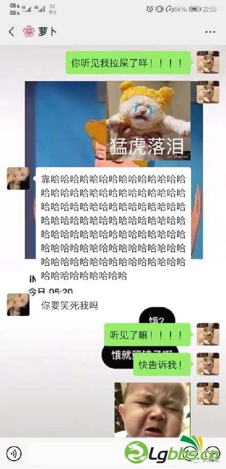 150250i9iqlqmm9vm7m44q.jpeg