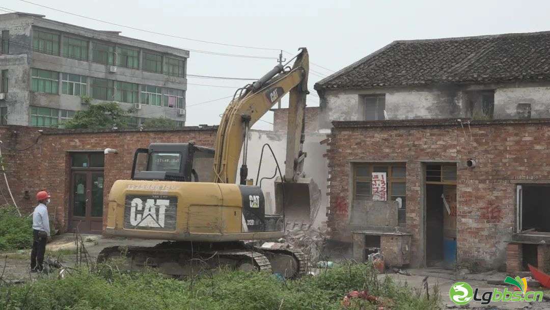 154951y3akwx235kuv28mk.jpeg