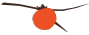 104459a4zilsblvm3ilvss.gif