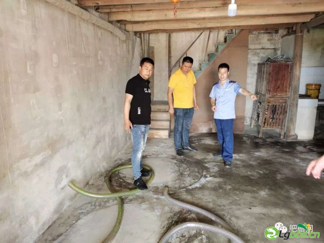 101656mkipyazysafyrhac.jpeg