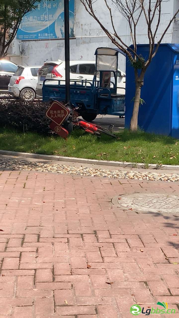 Fmp1BvCd33HS-D1FeJicQ8b0icmf.jpg