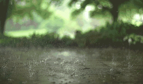 144437l0ed8wr1j63dl1qq.gif