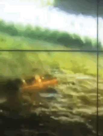 101339m6fyx1rx716s7g6v.gif