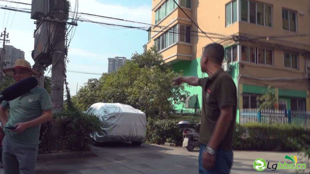 214802m5moec6oxweo88cm.jpeg