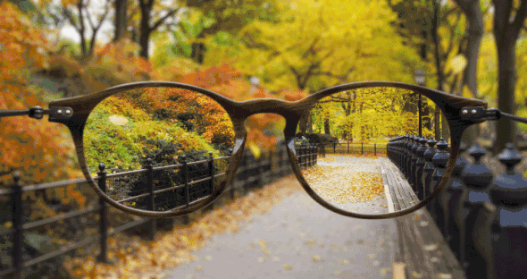 20200904_1947_1599231037689.gif