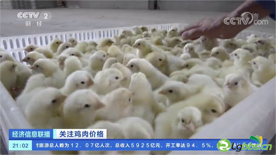 140944hcwq5zou6tgu6t5y.png