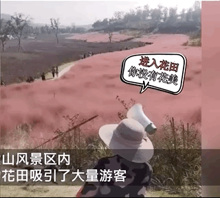 091517d8sdtn8csl6z15t6.gif