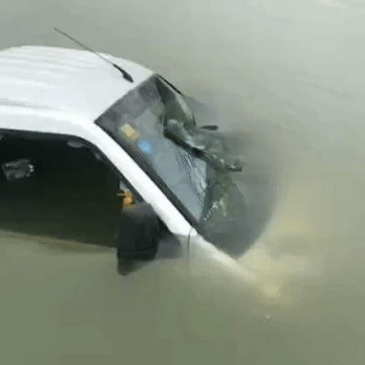 092253nful9ou2k994y6ii.gif