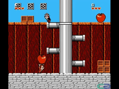 090812yi9iigkq9ovv9vog.gif