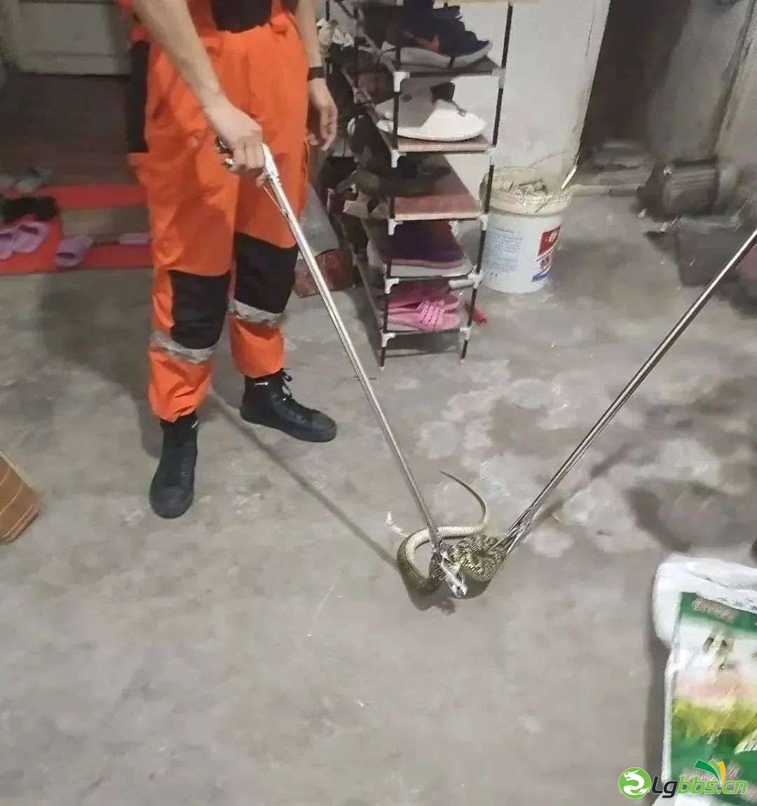 101047g9fa299hnh16a12y.jpeg