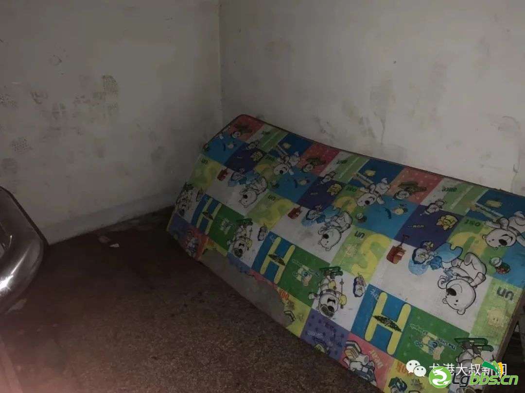 113209yrj7rrndl7pd333y.jpeg