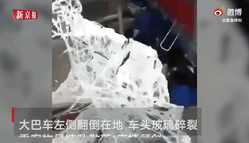 093357zw4wtjytpd4wcuwv.gif