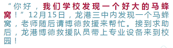 124725i0o708p572o82p42.png